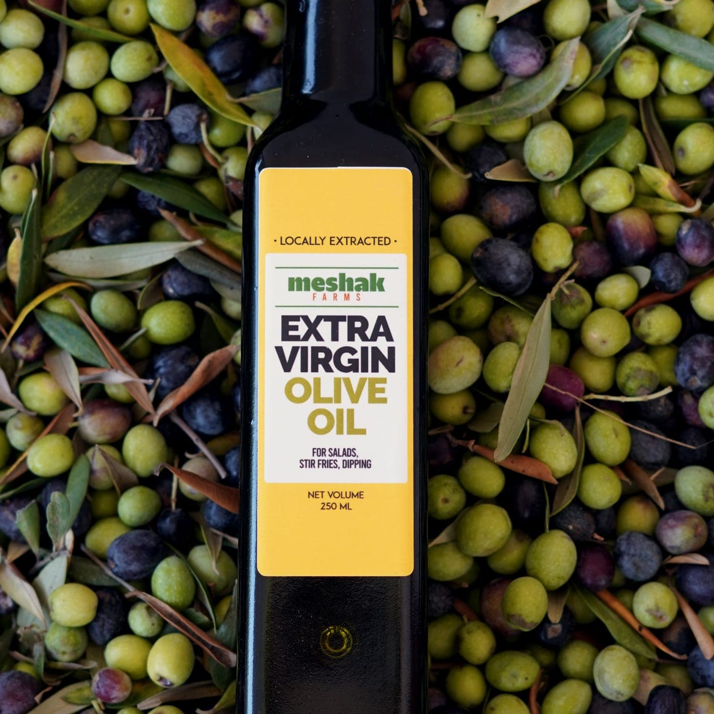 A bottle of Meshak extra virgin olive oil lying on a bed of freshly harvested olives