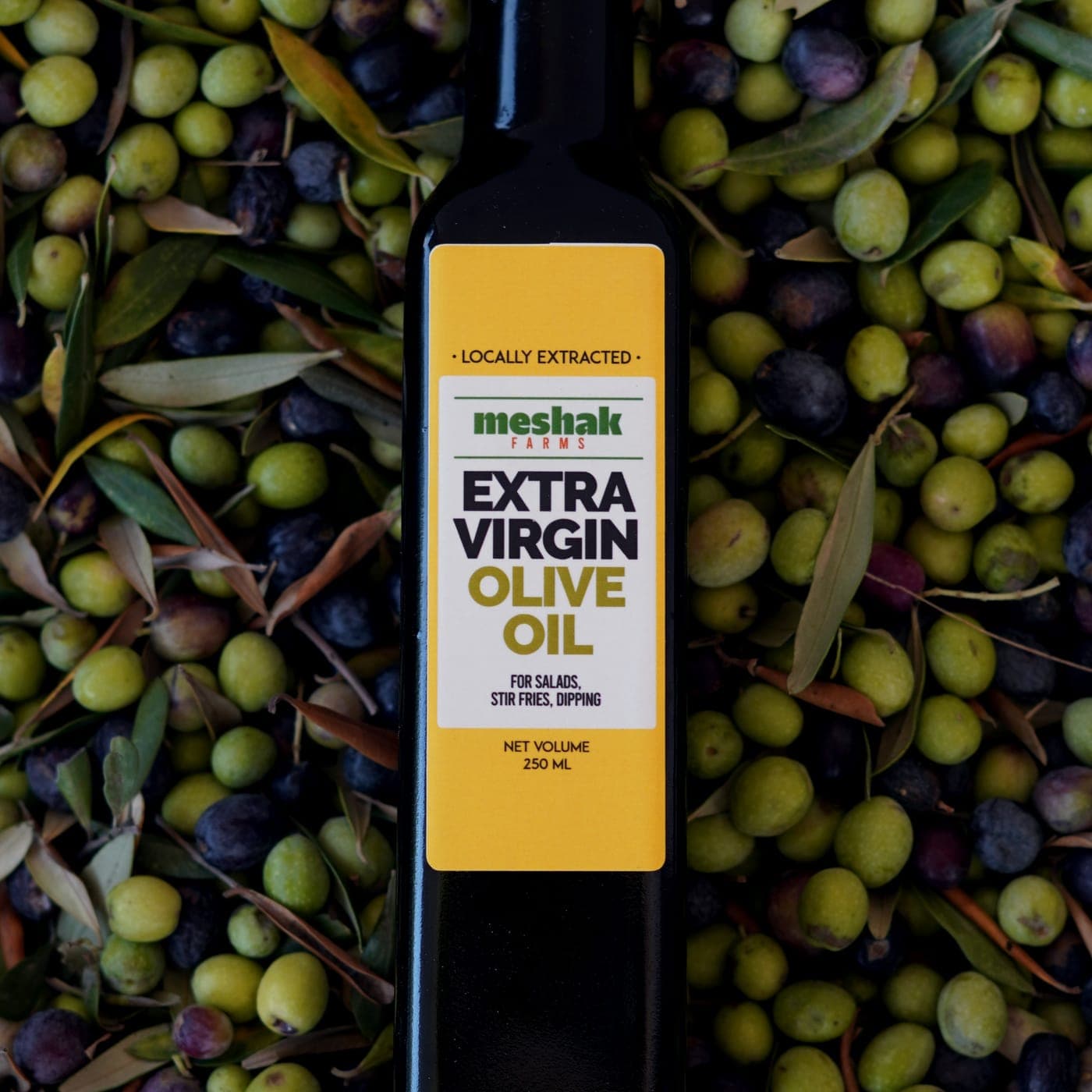 A single bottle of Meshak extra virgin olive oil standing on a bed of freshly picked olives