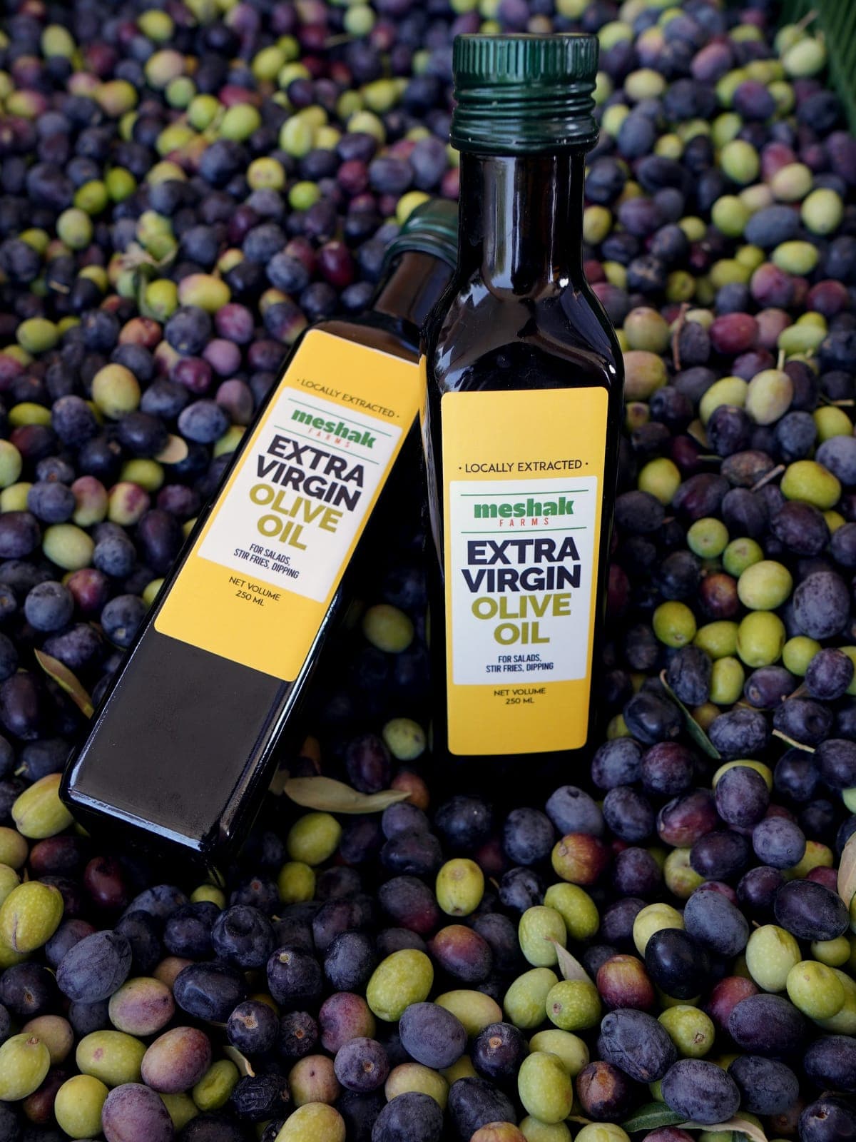 Two bottles of Meshak extra virgin olive oil resting on freshly picked olives